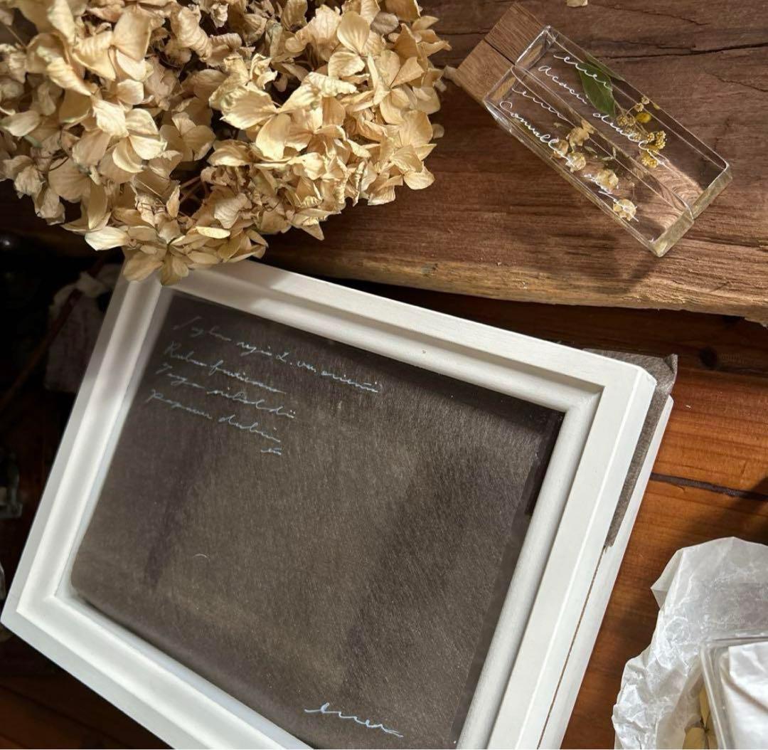 errer アンティーク木箱 鳥の羽 筆記体 植物標本 ブロカント