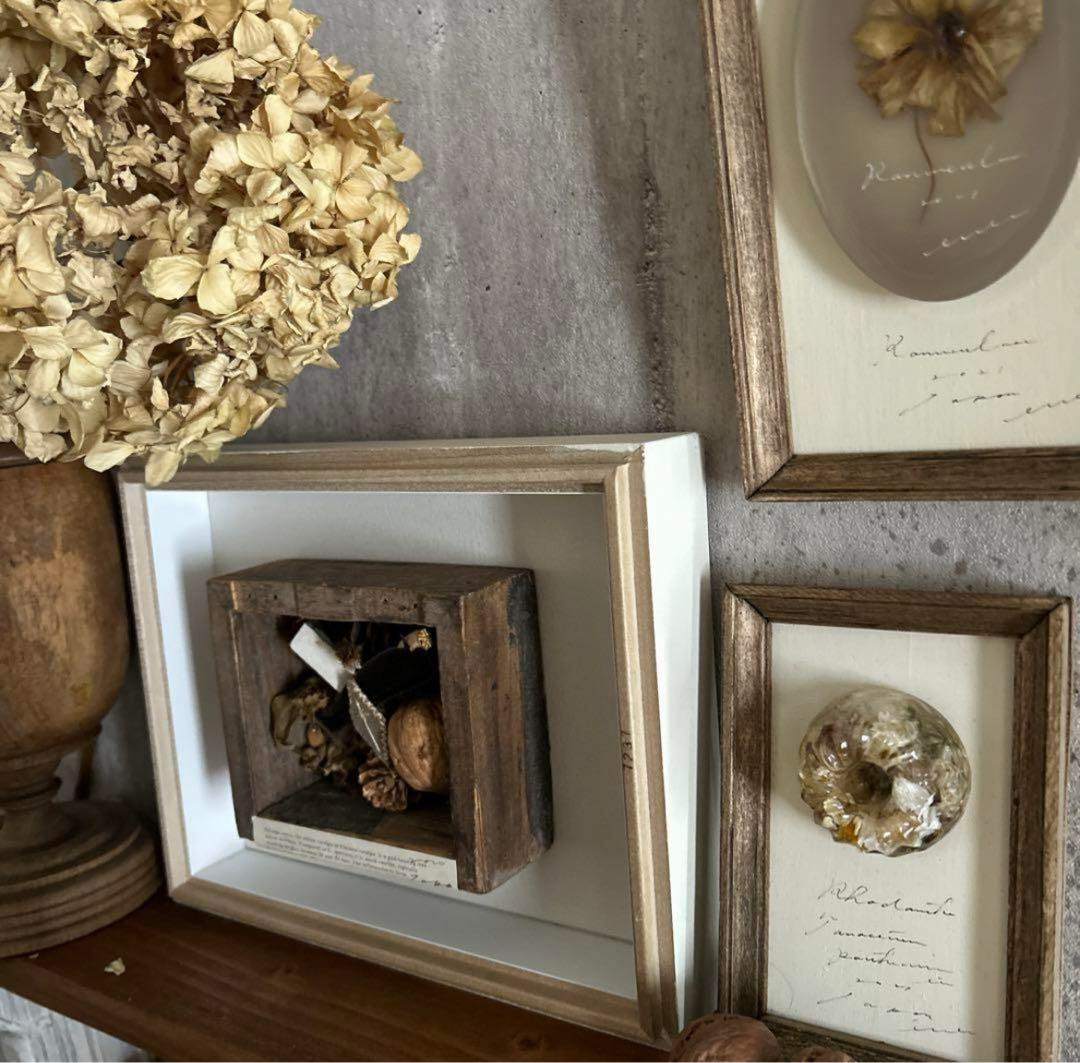 errer アンティーク木箱 鳥の羽 筆記体 植物標本 ブロカント