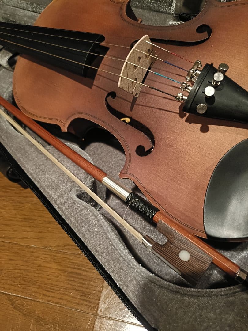 極美品　Hallstatt バイオリン　V-12 セミハードケース