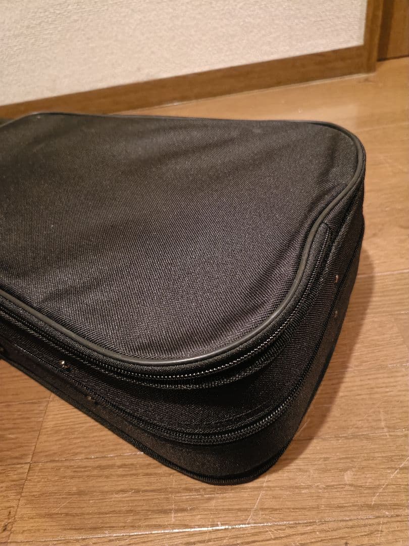 極美品　Hallstatt バイオリン　V-12 セミハードケース