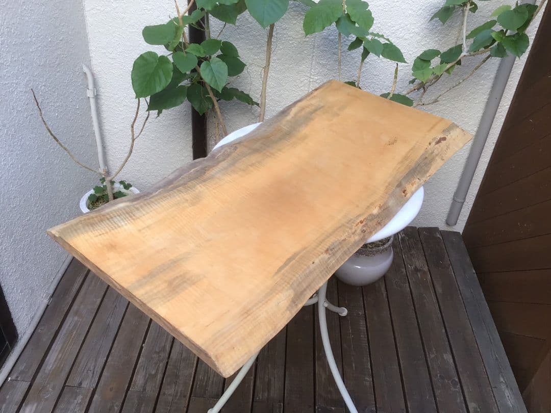 むくのき天板　とちの木　一枚板　無垢板　テーブル　カウンター　ベンチ