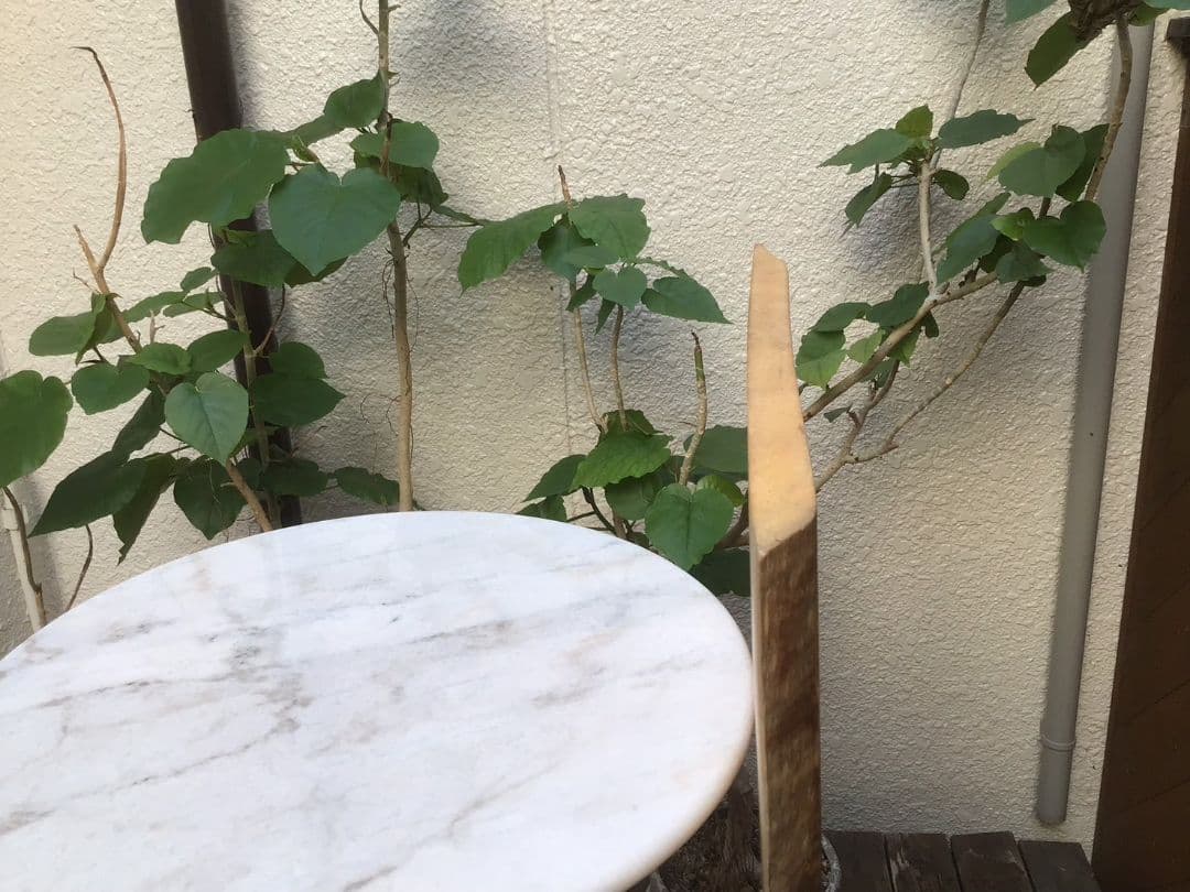 むくのき天板　とちの木　一枚板　無垢板　テーブル　カウンター　ベンチ