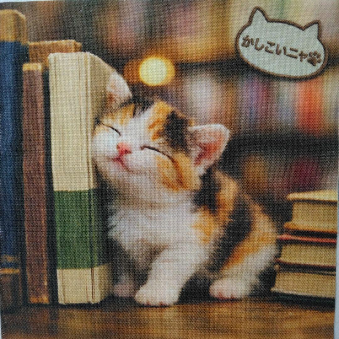 ☆受付☆猫 №2