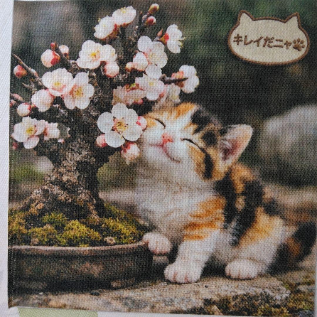 ☆受付☆猫 №2