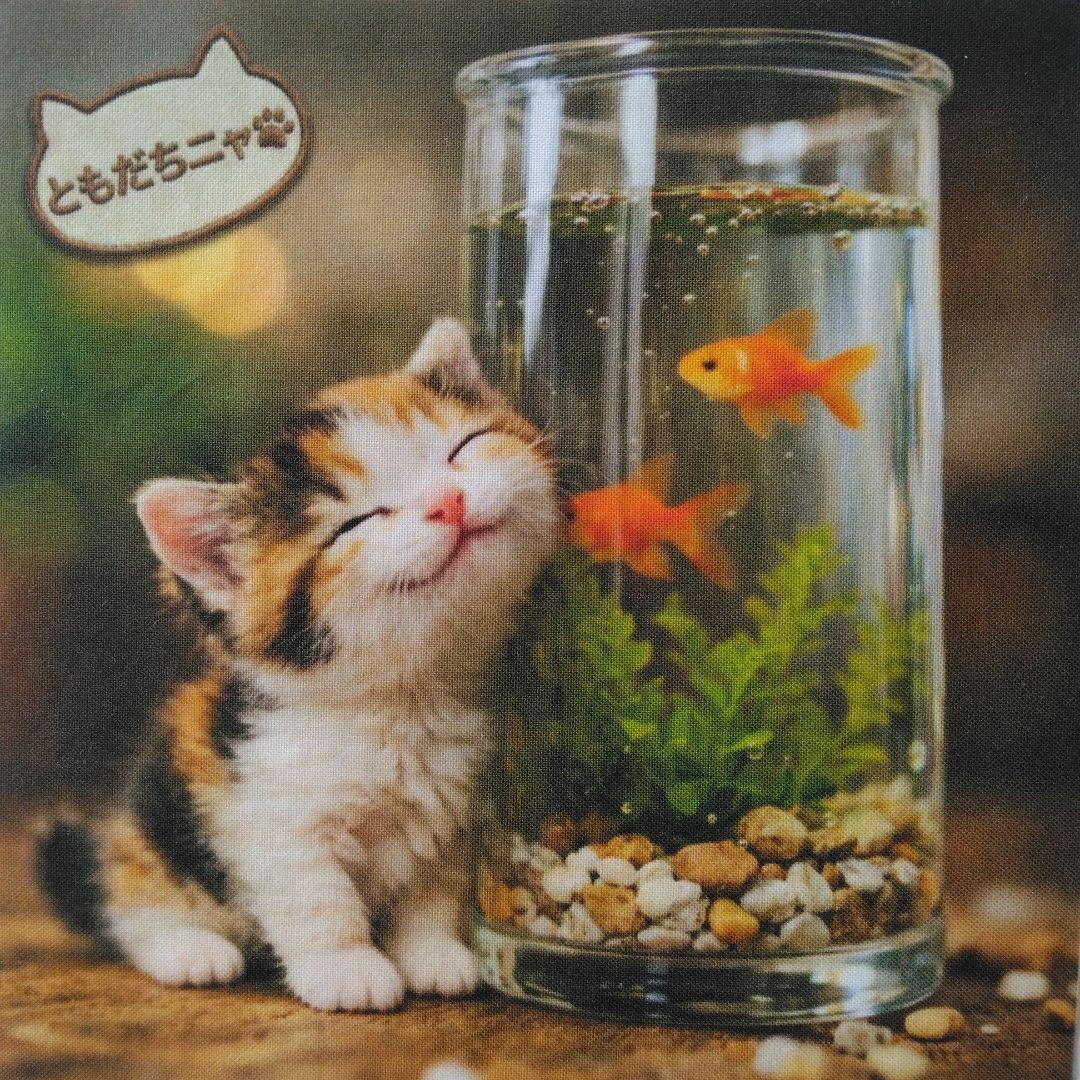 ☆受付☆猫 №2