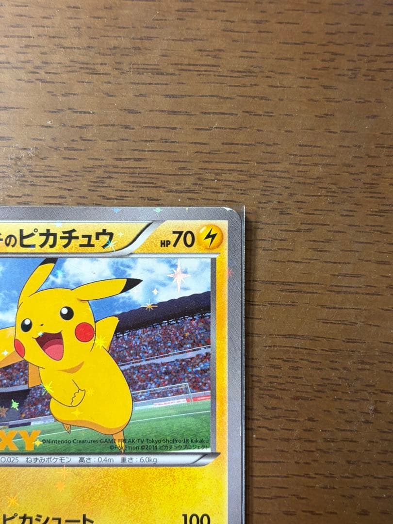 XY-P ピッチのピカチュウ_Jリーグ「ファミリー Joinデイズ」 笑顔版