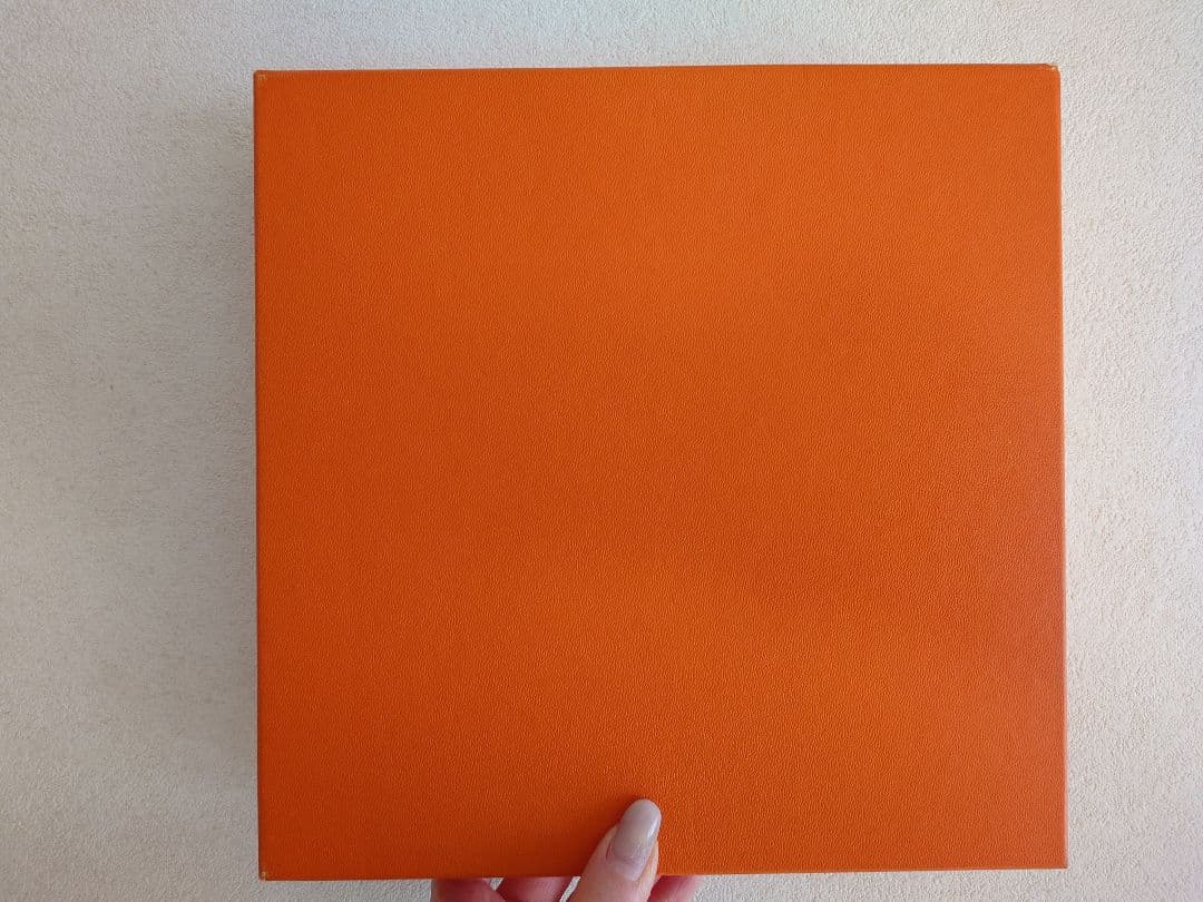 【正規品・新品未使用】HERMES エルメス アフリカ プレート 美品