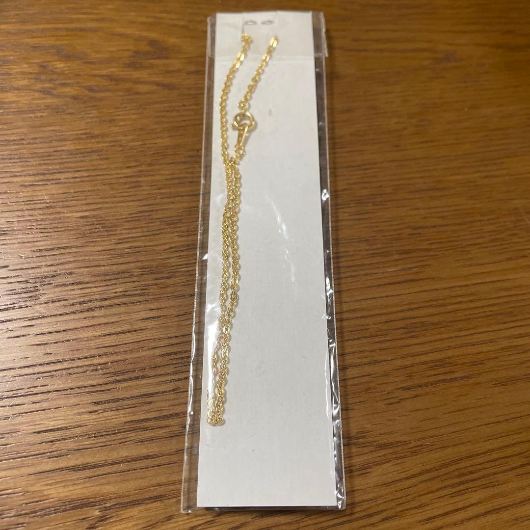B’z 稲葉浩志 松本孝弘 ファンクラブ限定 非売品 ネックレス 貴重 新品