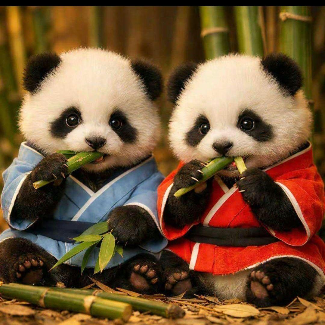 可愛いダックスパネル生地　ハンドメイド