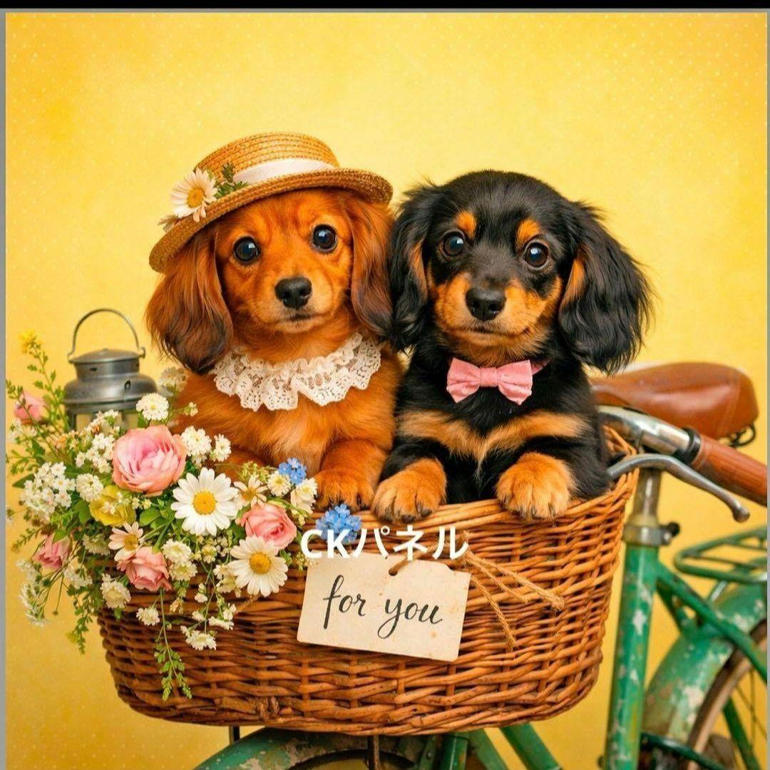 可愛いダックスパネル生地　ハンドメイド