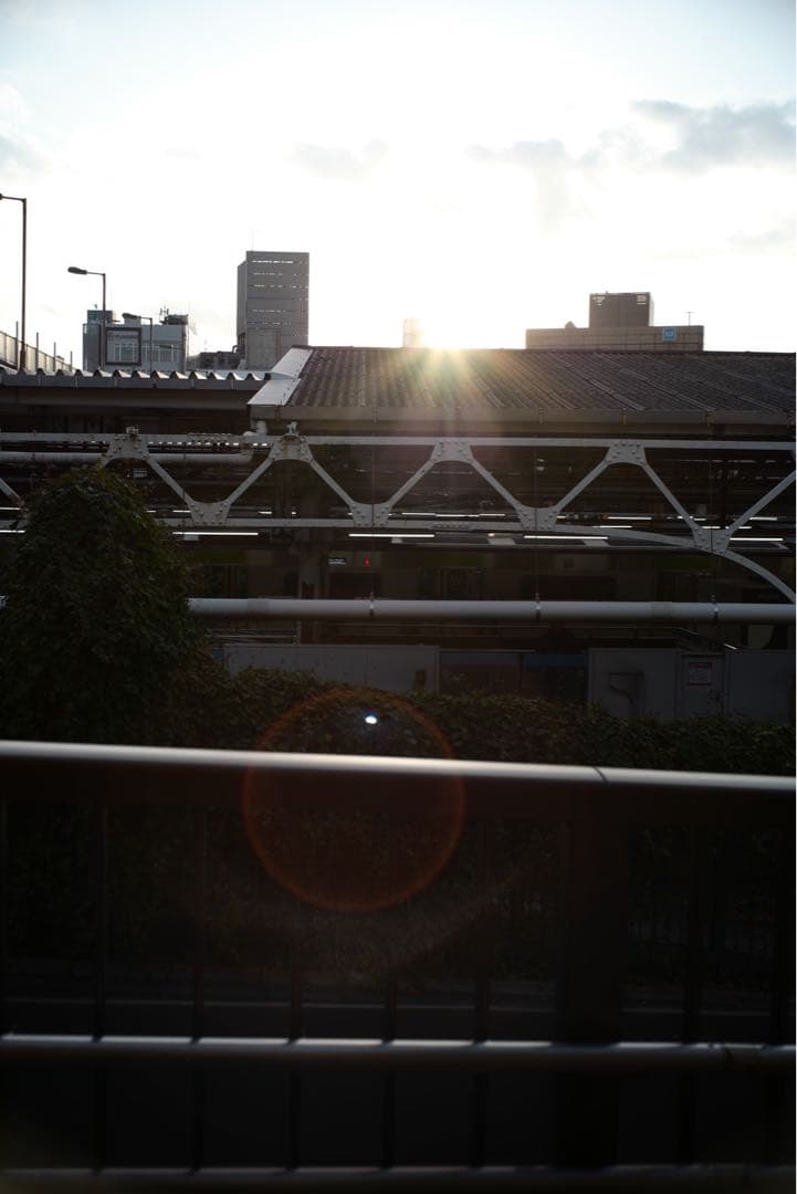 NOVOFLEX NOFLEXAR 35mm f3.5（M42マウント）