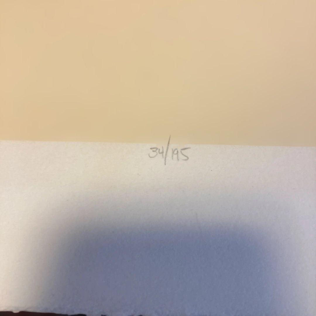 シルクスクリーン Dennis Frings 34/195
