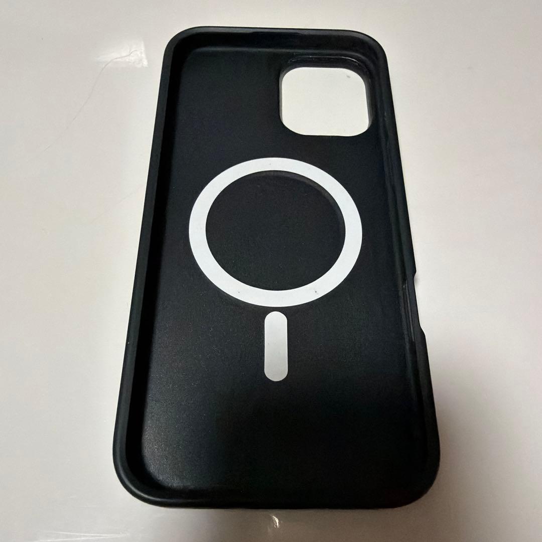 CASETIFY MagSafe対応 iPhone16Plusケース