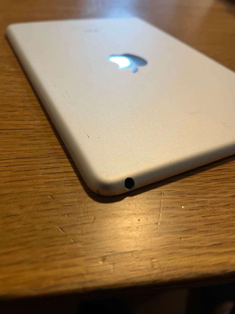 iPad mini 4 128GB Wi-Fiカメラ不良バッテリー66%ケース付