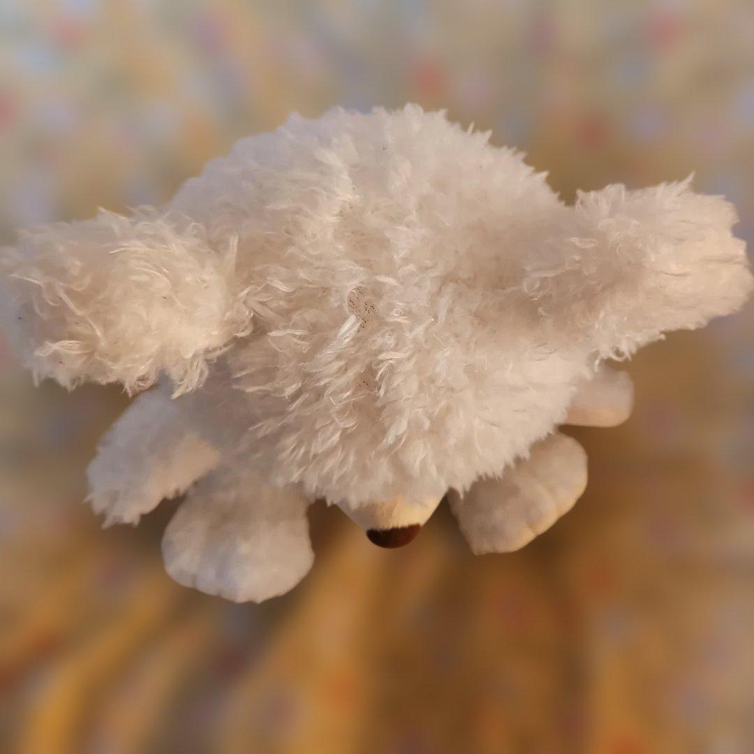 ユニベアシティ　ぬいぐるみ　セット販売