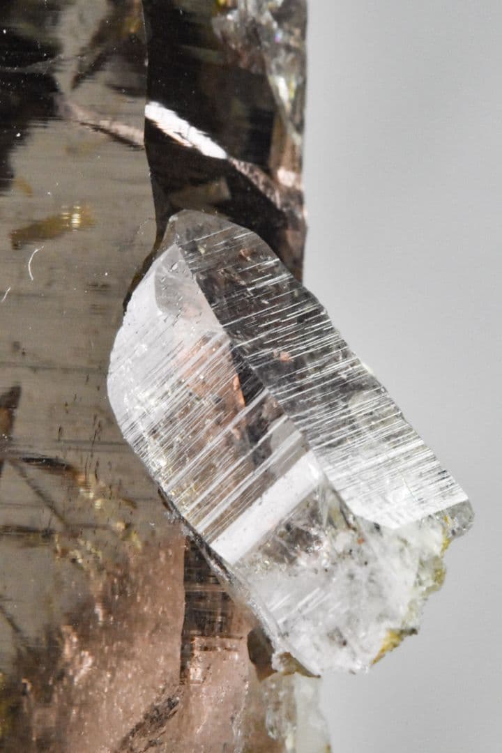 パキスタン スカルドゥAshopi産 いろいろ付いたクリアなスモーキークォーツ