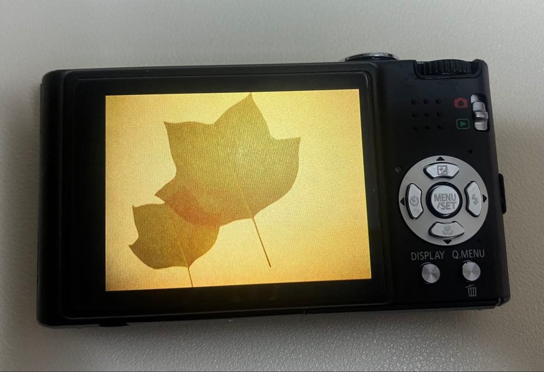 Panasonic　パナソニック　LUMIX　ルミックス　DMC-FX37