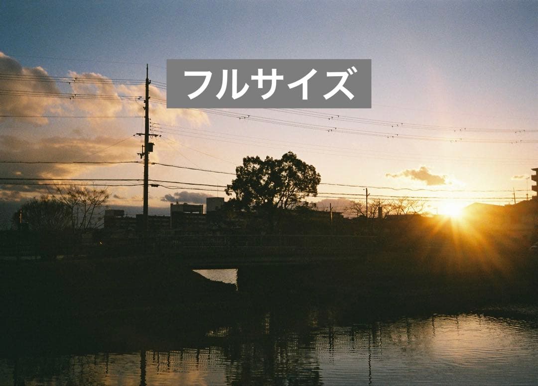 canon tele6 フィルムカメラ　ハーフフィルム