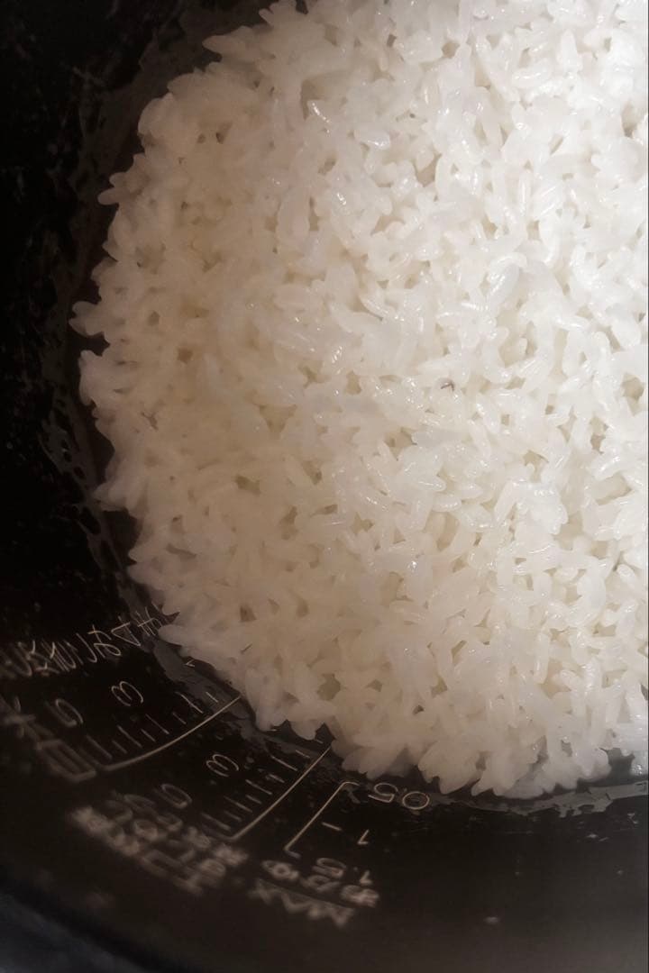 タイガー 炊飯器 5.5合 圧力 IH 炊飯 JPB-G102現状品