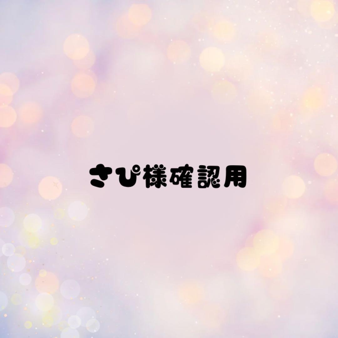 さぴ様　両面マット　文字変更あり　項目リフィル　19枚