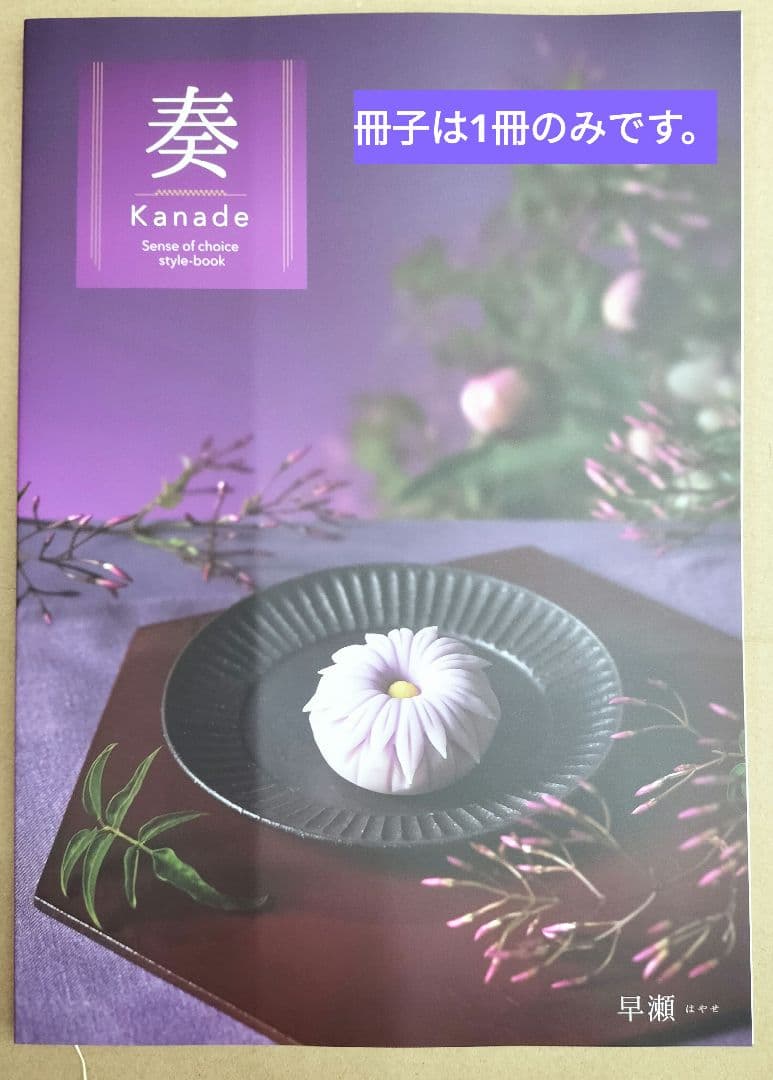 ハガキ2枚★カタログギフト 売切り お返し 内祝 プレゼント 春 記念品 訳あり