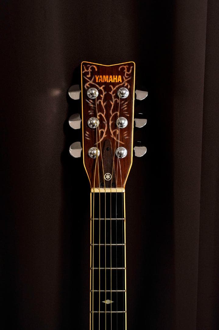 ★ヤマハ FGシリーズの奏でる華やかな場面で演出を高める【彫刻装飾ギター】