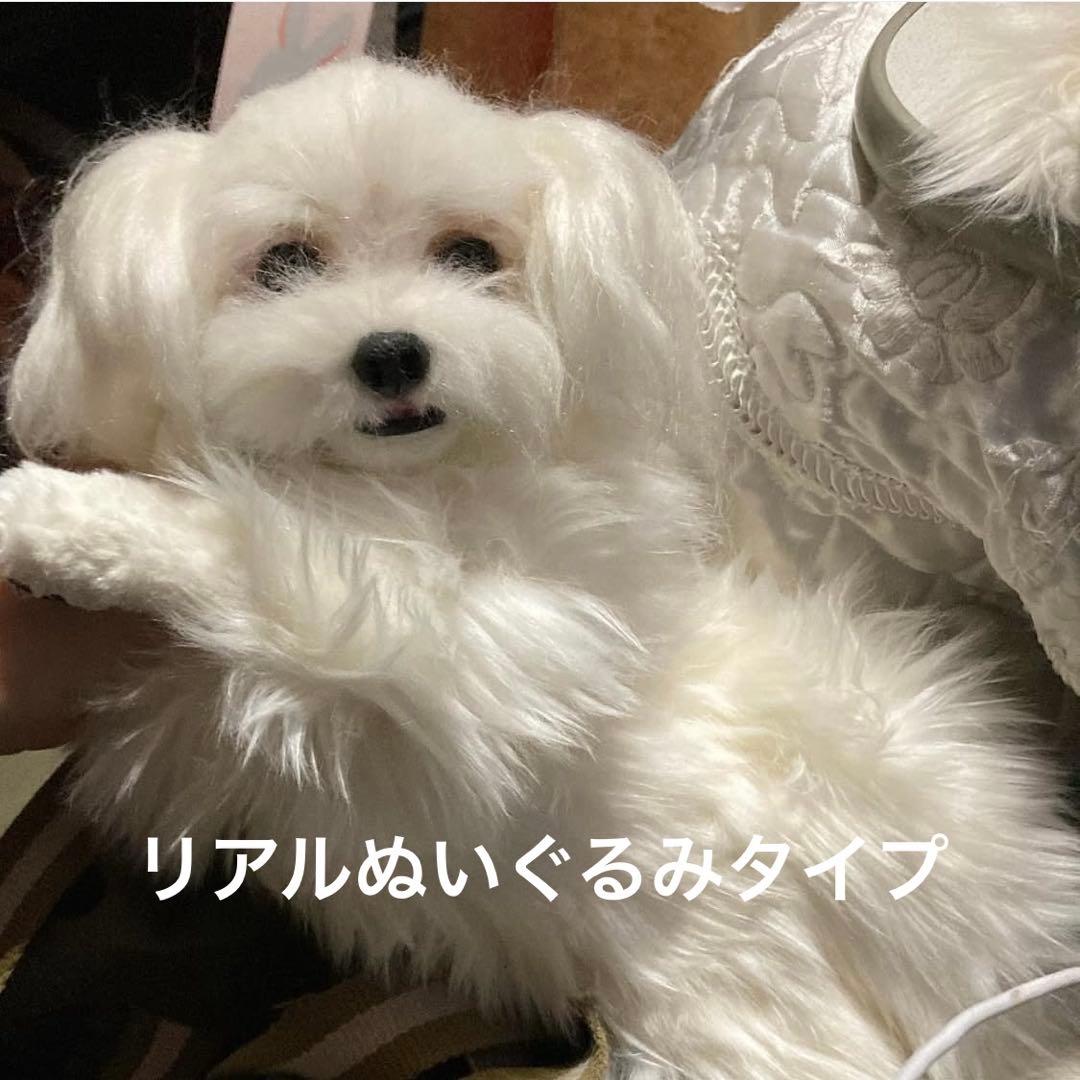 着ぐるみ 犬 猫 オーダーメイド