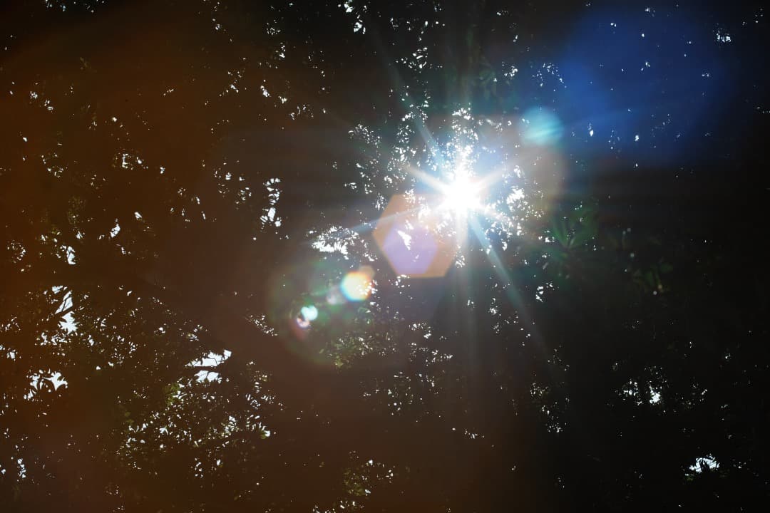 【希少8枚玉】動作◎ Super Takumar 50mm F1.4 前 521