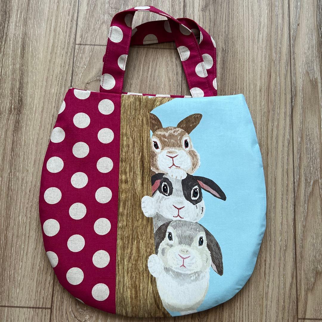 キラキラ⭐️　　ひょっこりアニマル