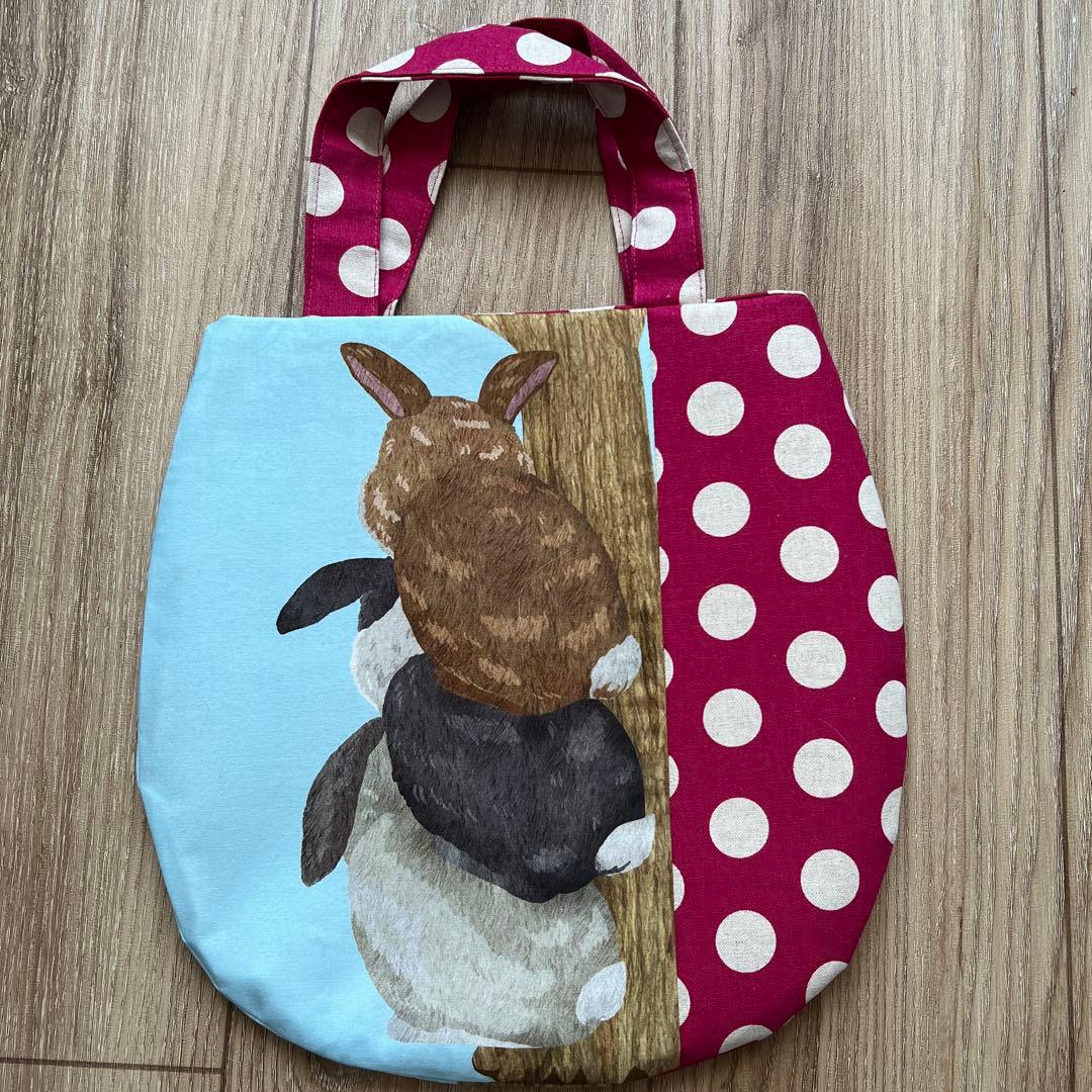 キラキラ⭐️　　ひょっこりアニマル