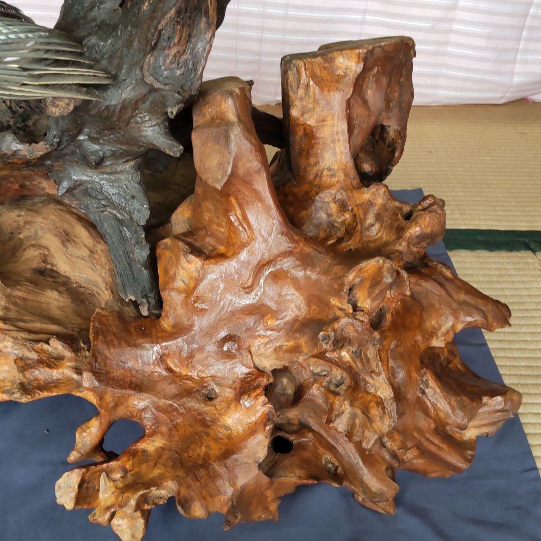 天然木の置物 鳥の剥製2羽付き インテリア