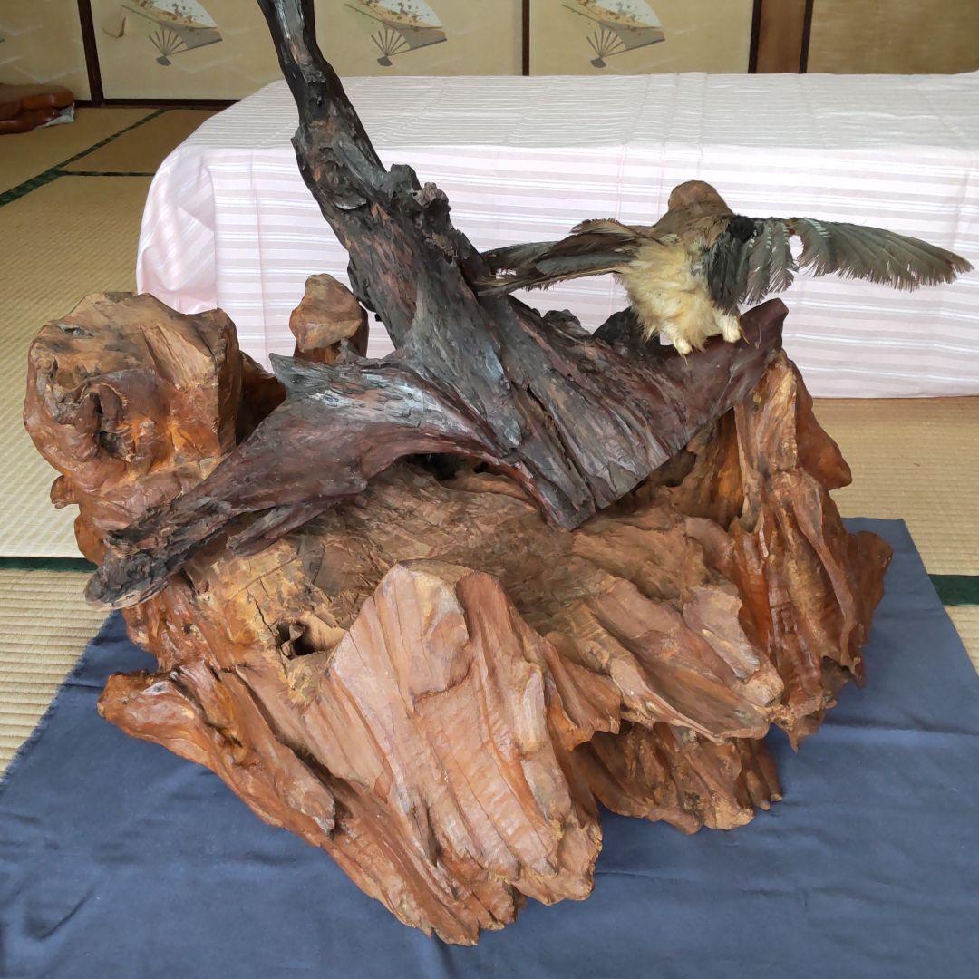 天然木の置物 鳥の剥製2羽付き インテリア