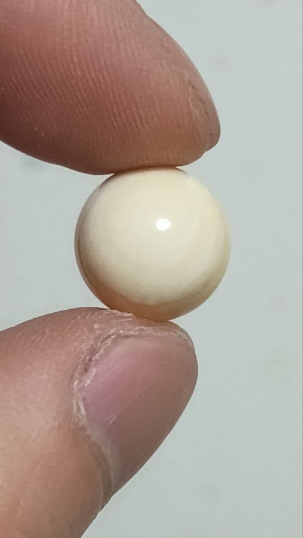 マッコウ鯨 牙玉 鯨歯玉 標本 緒締 根付 約12.4㎜