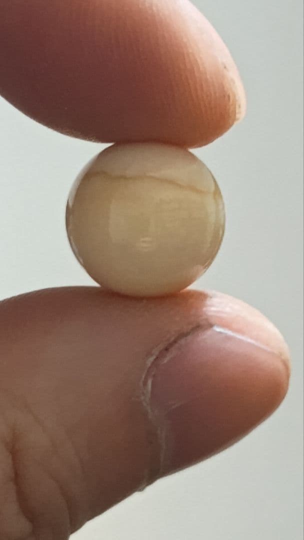 マッコウ鯨 牙玉 鯨歯玉 標本 緒締 根付 約12.4㎜