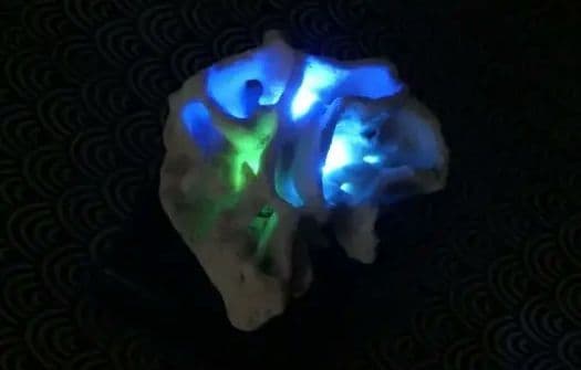 シコロサンゴのランプ　色が変わる　値下げしました