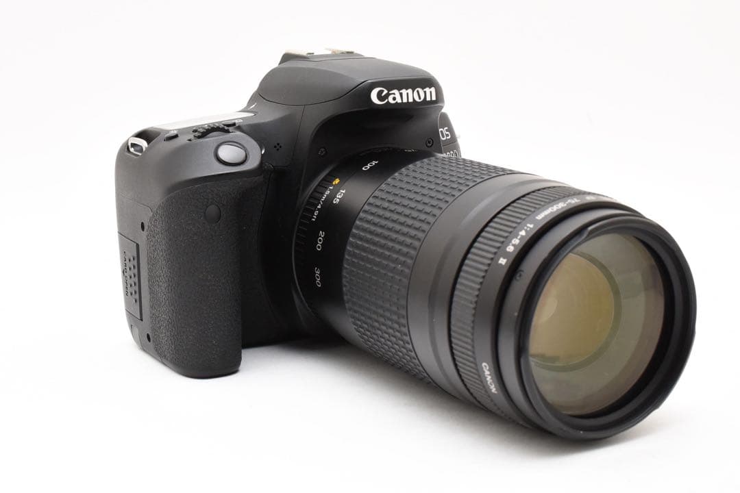 Canon EOS 9000D望遠レンズセット/Canon EF75-300mm