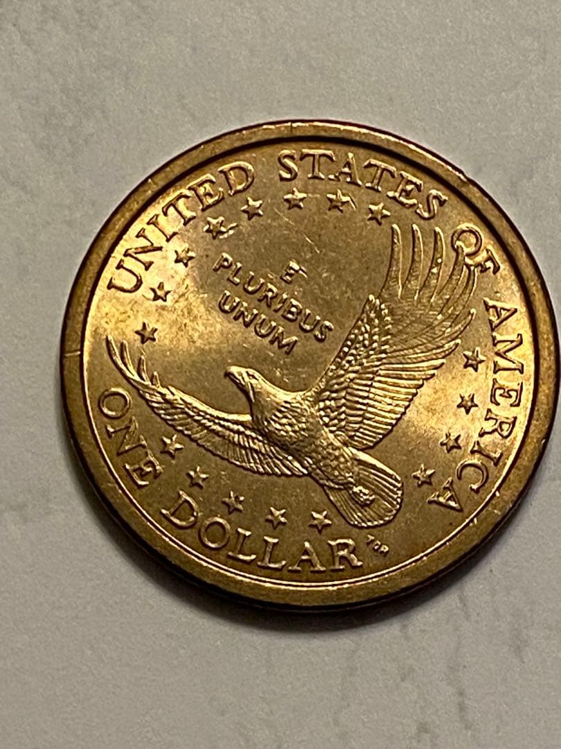 顔に傷を負った鷲_アメリカ 1ドル硬貨 _ 2000 P SACAGAWEA