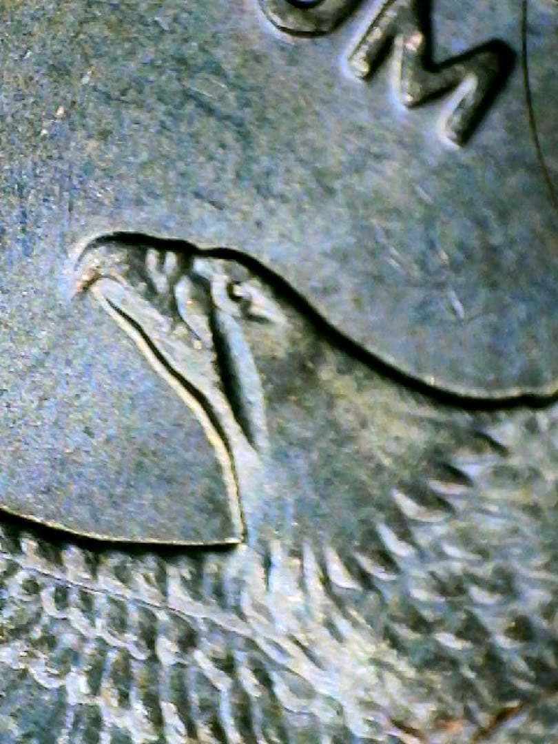 顔に傷を負った鷲_アメリカ 1ドル硬貨 _ 2000 P SACAGAWEA