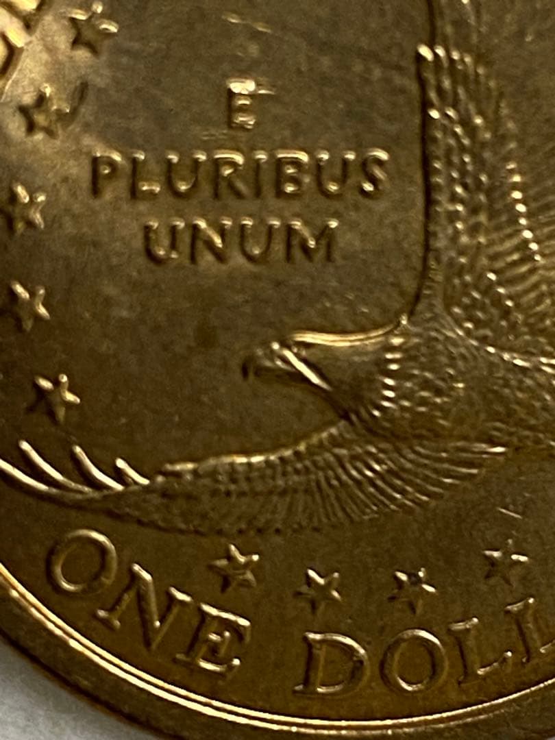 顔に傷を負った鷲_アメリカ 1ドル硬貨 _ 2000 P SACAGAWEA