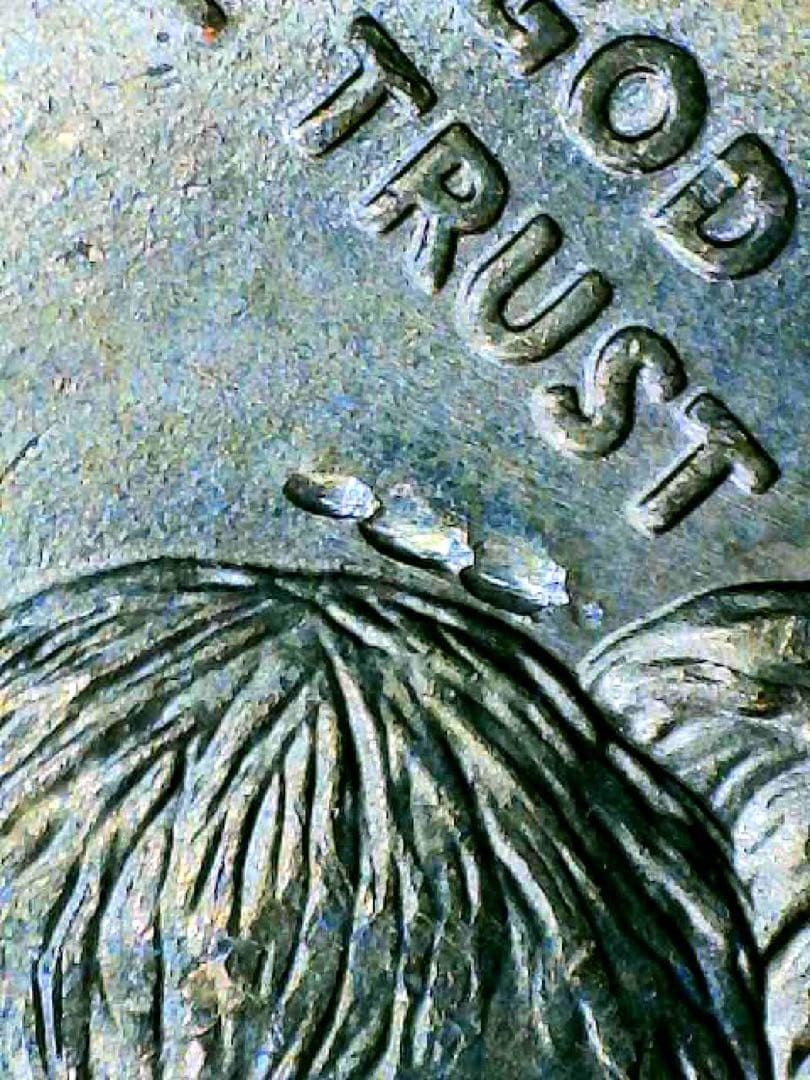 顔に傷を負った鷲_アメリカ 1ドル硬貨 _ 2000 P SACAGAWEA