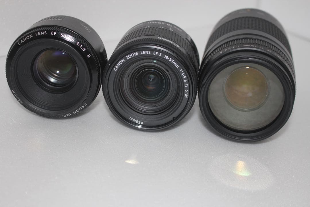 キャノン canon kiss x8i 標準&望遠&単焦点トリプルレンズセット