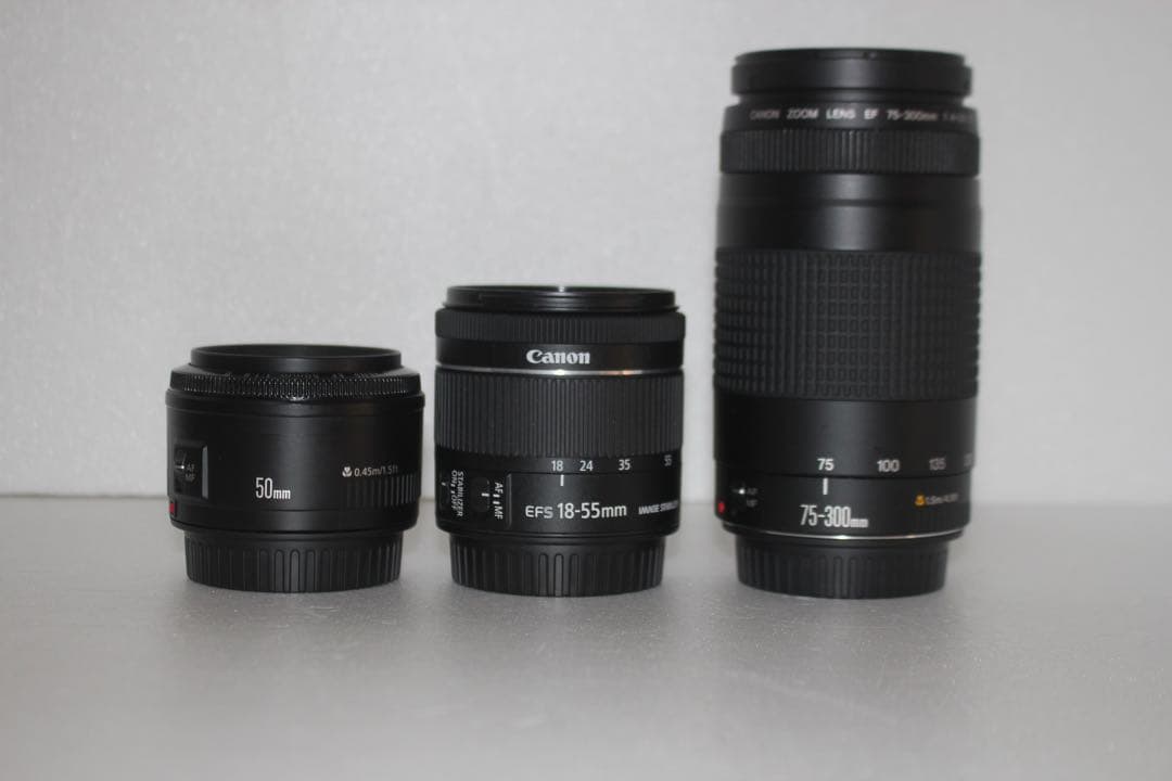 キャノン canon kiss x8i 標準&望遠&単焦点トリプルレンズセット