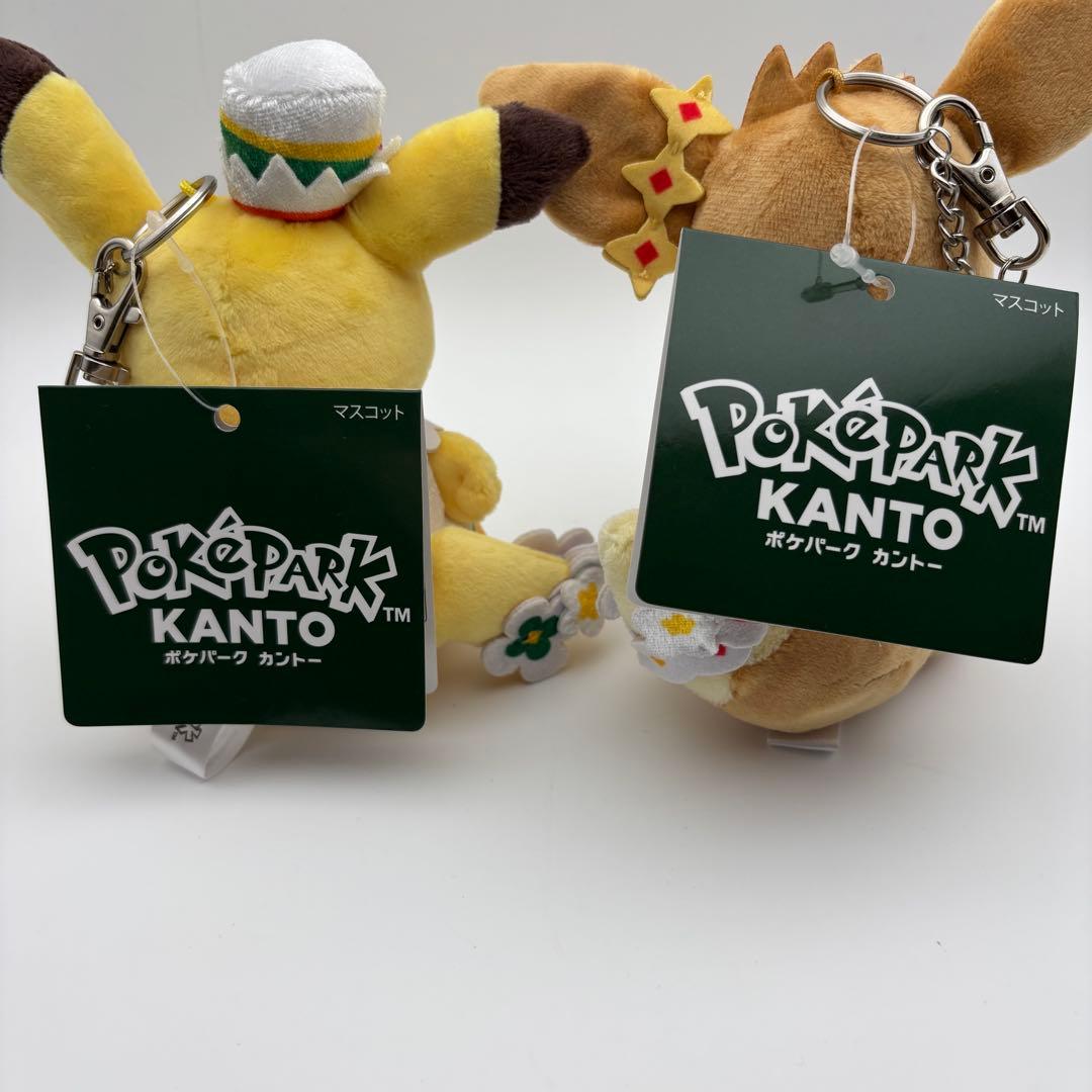 ポケパーク限定 カーニバル 花飾り ピカチュウ イーブイ キーホルダー