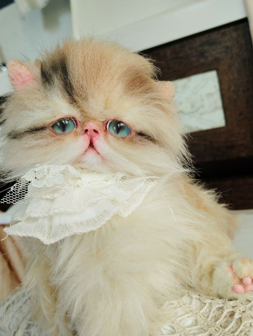 リッズ様御予約❤ペルシャ子猫♡タレ目ちゃん♡アートドール♡ぬいぐるみ♡