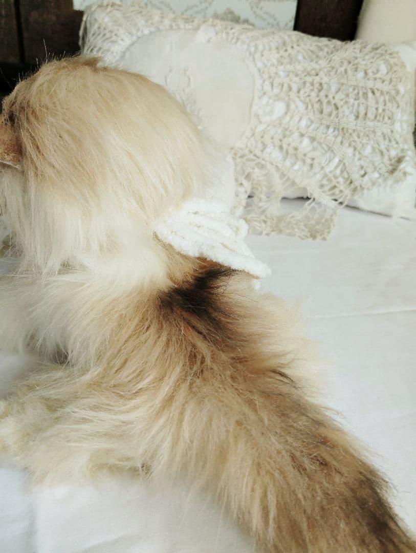 リッズ様御予約❤ペルシャ子猫♡タレ目ちゃん♡アートドール♡ぬいぐるみ♡