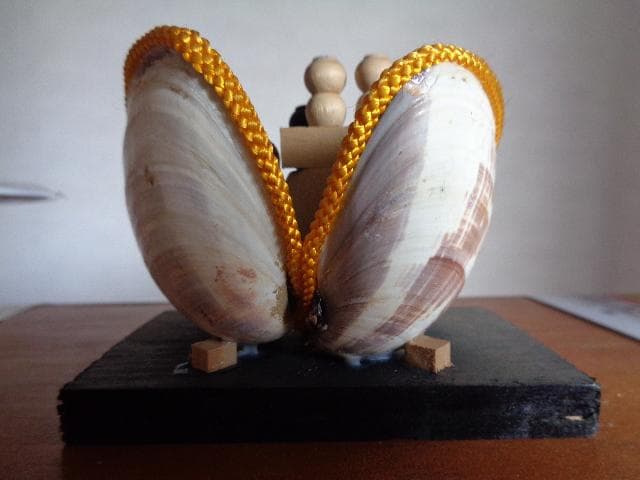 打ち出の小槌　貝殻