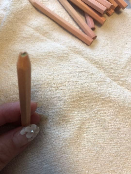 コヒノール　ハリネズミ