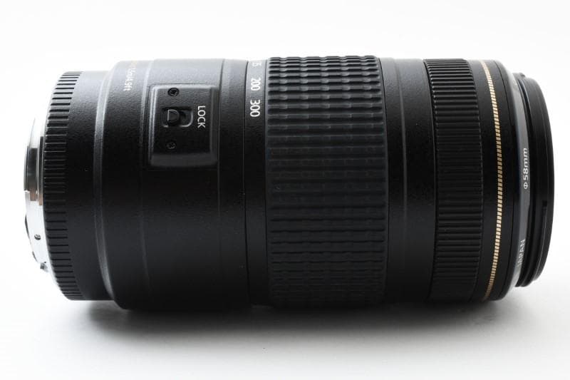 Canon EF 70-300mm f/4-5.6 IS USM 中望遠レンズ