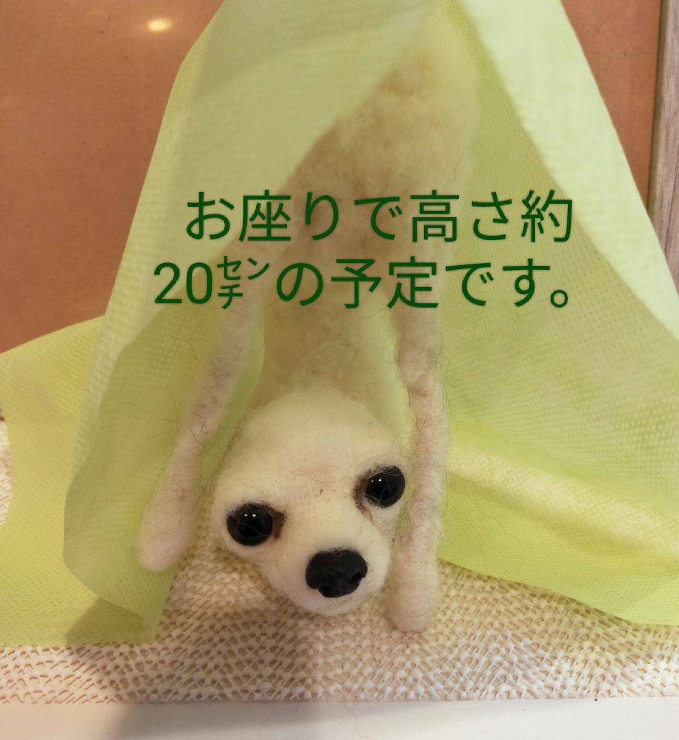 羊毛フェルト　ハンドメイド　犬　チワワ　COLORセミオーダー