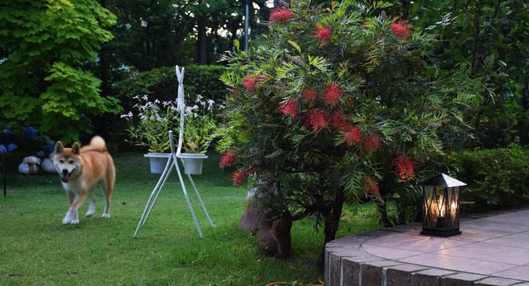 ガーデンライト ランタン2 屋外用 防雨型 ステンドグラス 庭園灯 外灯